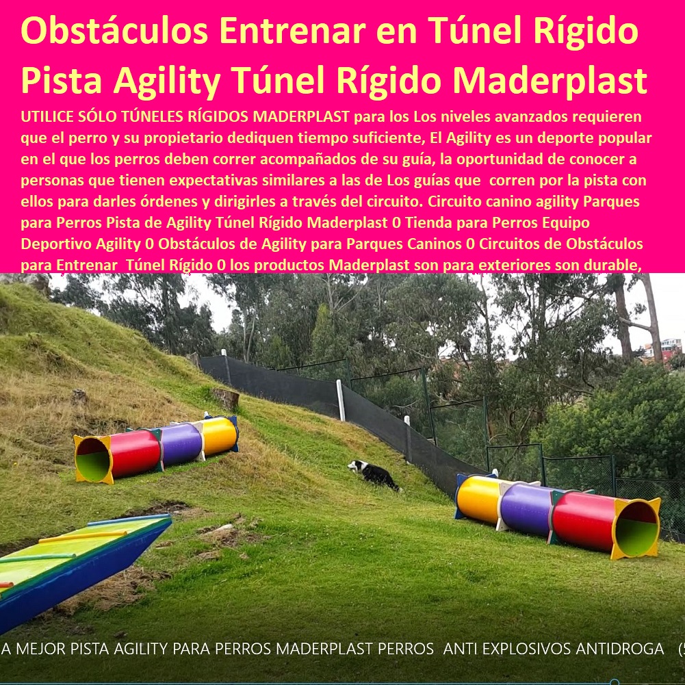 Circuito canino agility Parques para Perros Pista de Agility Túnel Rígido Maderplast 0 Tienda para Perros Equipo Deportivo Agility 0 Obstáculos de Agility para Parques Caninos 0 Circuitos de Obstáculos para Entrenar  Túnel Rígido 0 Caninos Para Perros, Equipo De Agility Para Perros, Cunas Y Parideras Para Perros, Parques Para Perros, Corrales Para Perros, Jaulas cuidado de perros, Casas Para Perros Y Mascotas, Agility De Perros, Pistas De Adiestramiento, Circuito canino agility Parques para Perros Pista de Agility Túnel Rígido Maderplast 0 Tienda para Perros Equipo Deportivo Agility 0 Obstáculos de Agility para Parques Caninos 0 Circuitos de Obstáculos para Entrenar  Túnel Rígido 0